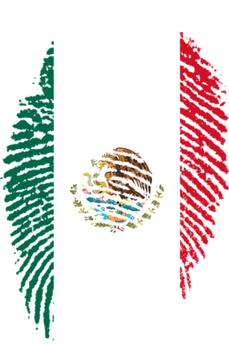 Mexican flag and passport