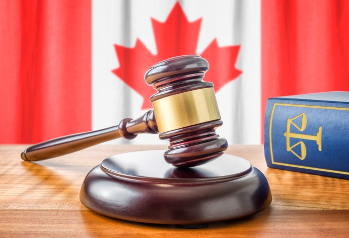 Canadian Immigration lawyer assisting client with Federal Court of Appeals