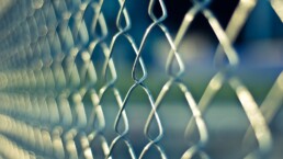 A chain link fence in sunlight.