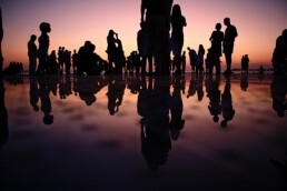 Shiloutte of a crowd gathered together in the sunset with their shadows reflected on the ground.